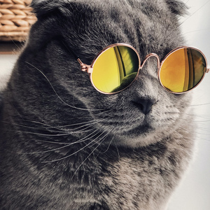 日本黄色性感片
